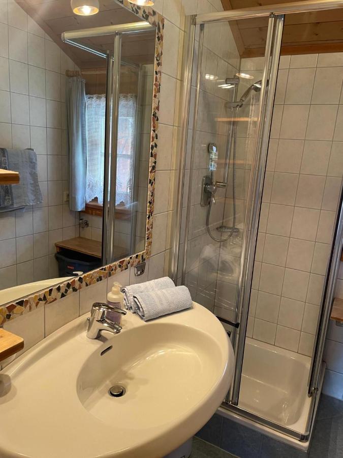 Neudegghof Apartment Eben Im Pongau Ngoại thất bức ảnh