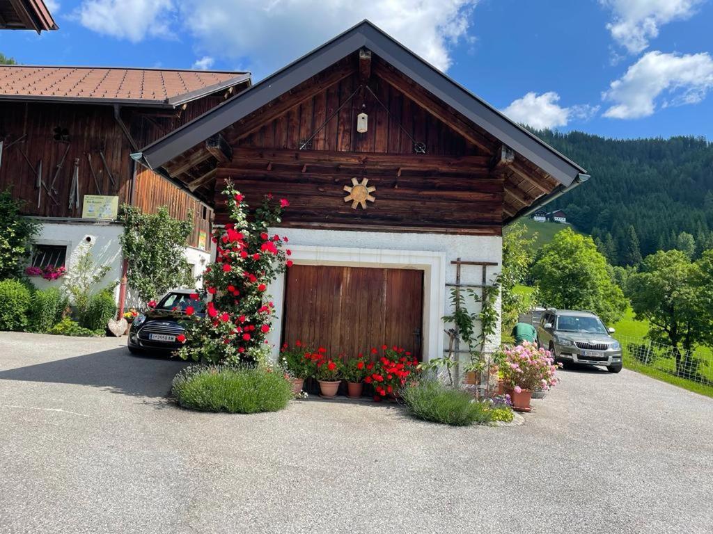 Neudegghof Apartment Eben Im Pongau Ngoại thất bức ảnh