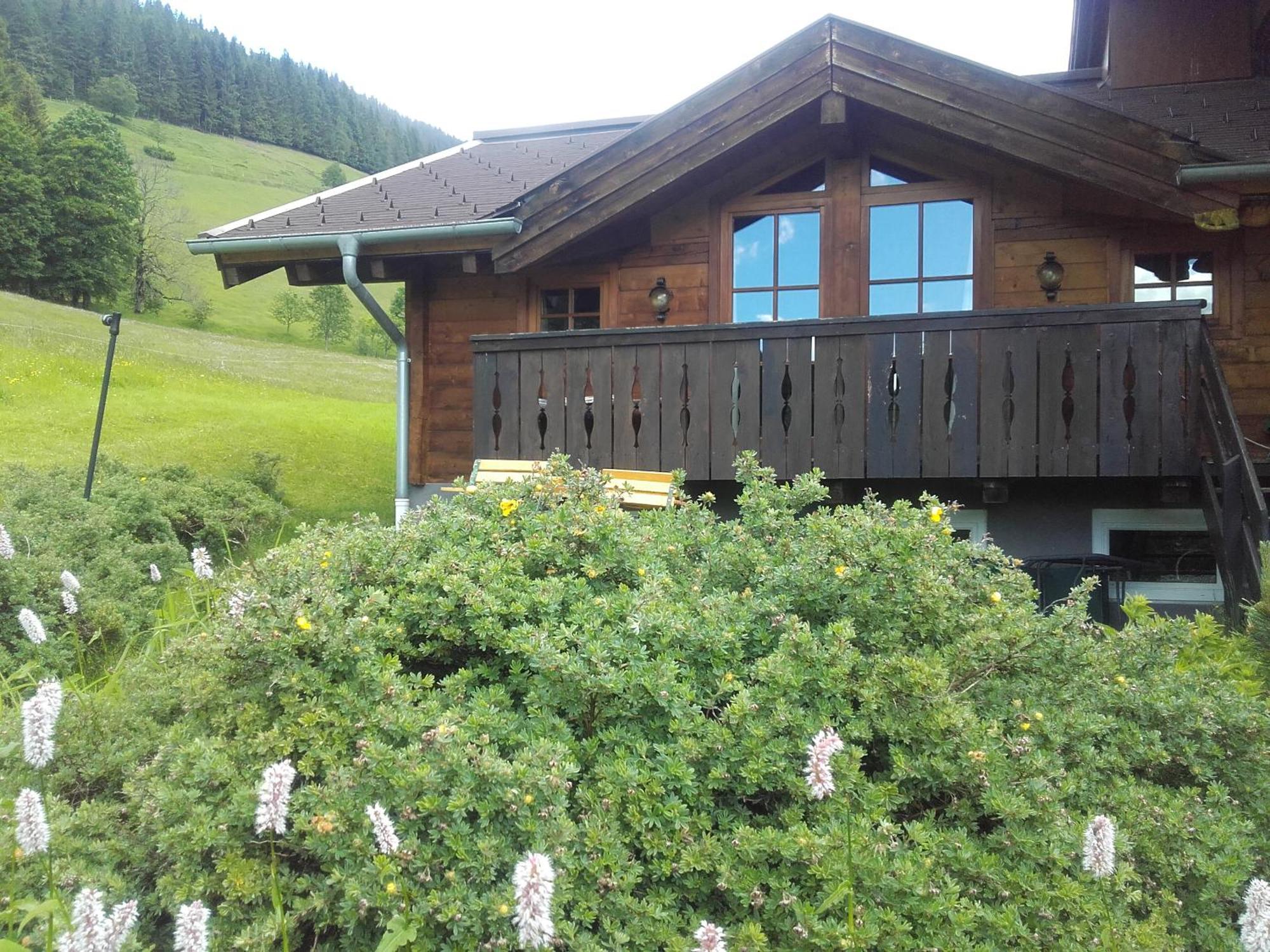 Neudegghof Apartment Eben Im Pongau Phòng bức ảnh
